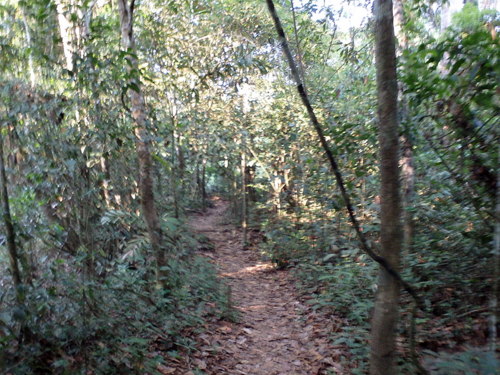 Famous Parakeet River Clay Bank.